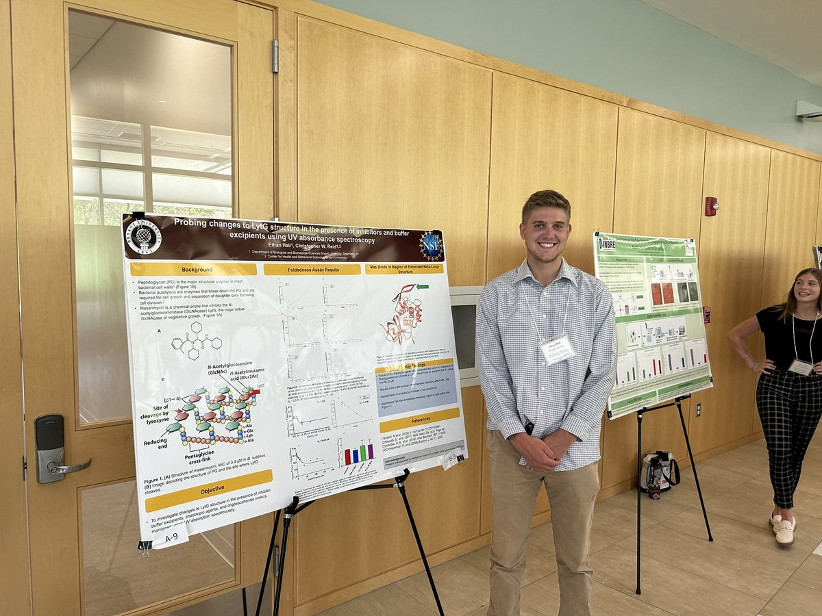 Another end to @NSF funded undergrad summer research in the @reid_lab with the SURS symposium at URI. They did a great job driving their projects while i took a short unexpected hiatus from the lab. #glycotime