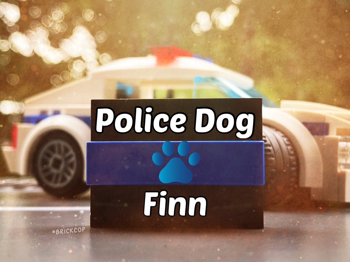 Very sad new this evening, remembering the wonderful @K9Finn & all he did to bring joy to his supporters and the huge difference to how Police Service animals are protected legally through #FinnsLaw 🐾 

Thinking of Finn’s family on what must be a very tough day. #ThinBlueLine 🐾