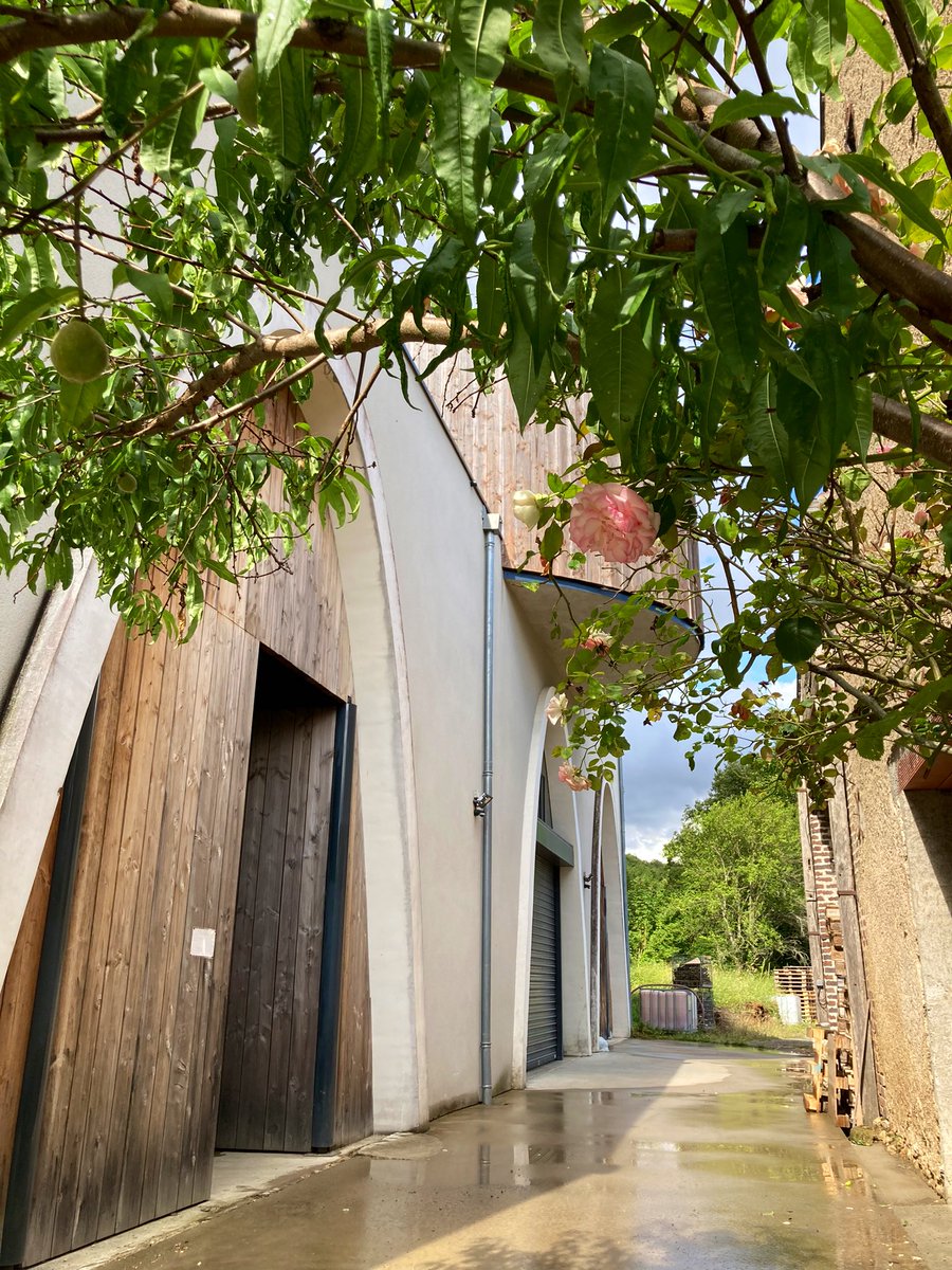 Ian Hardwick tweet media