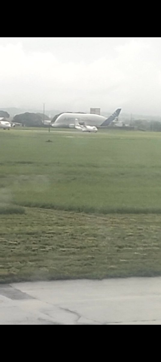 JulienMarkB's tweet photo. @Airbus 

While I'm inside riding the @CebuPacificAir airplane, I saw the big whale parked in Clark Airport, yesterday 🐋✈️

#aviation #AirbusBeluga https://t.co/IHBnyolYP0