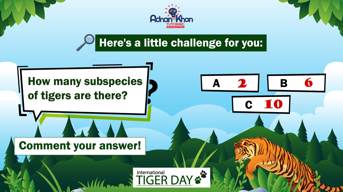 🐯Happy International Tiger Day!🐅

#InternationalTigerDay #savethetigers #wildlife #BrainTeaser #CommentYourAnswer #adnankhantutoring