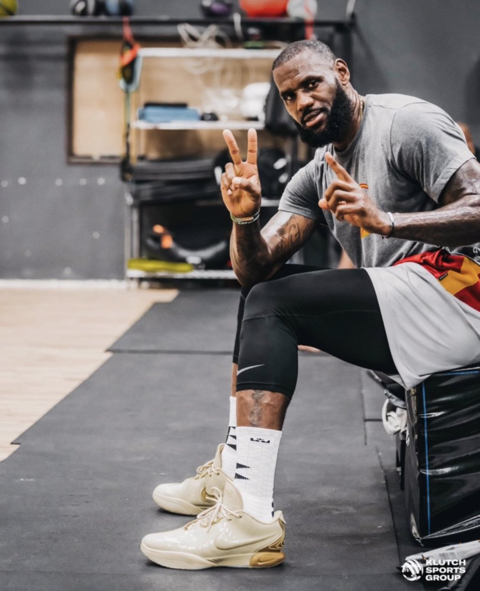 lebron james shoe endorsement