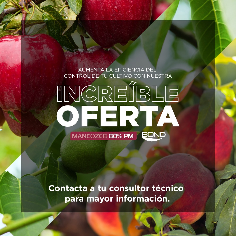 ¡No te quedes afuera!

Aumenta el control de tus cultivos con Mancozeb + Bond.

Esta increíble combinación logra excelentes resultados de rendimiento por su alta protección sobre tus cultivos. Estamos para asesorarte.

¡Nuestro consultores técnicos esperan tu consulta!

#Mancozeb