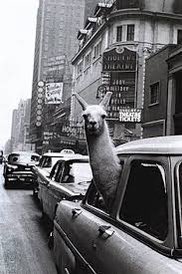 Tom Seymour tweet media