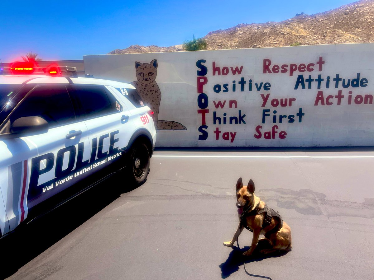 So else is ready for the first day of school? I’m eagerly waiting for all my friends to come back in two more weeks. 🐾
