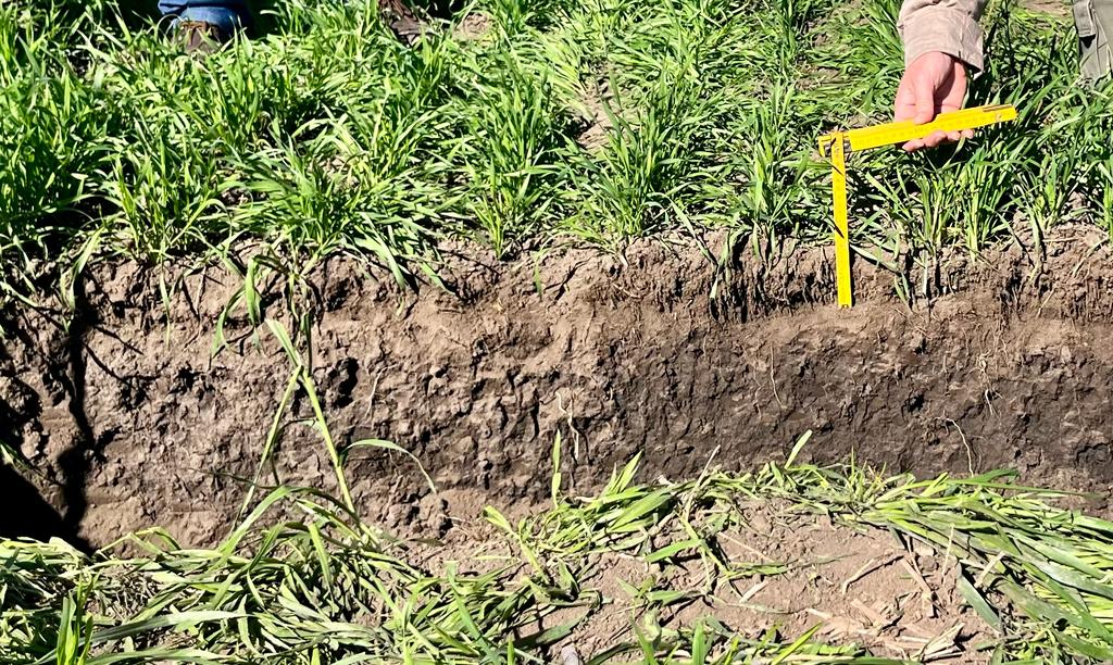 Marcelo36824629's tweet photo. Con el objetivo puesto en la detección de procesos de degradación física del suelo y la identificación de las prácticas de manejo para revertirlos, realizamos una Jornada en la EEA PARANÁ @INTA_ER, a cargo de Juan José de Battista y @EmmanuelGabioud https://t.co/yRV3f9g43K