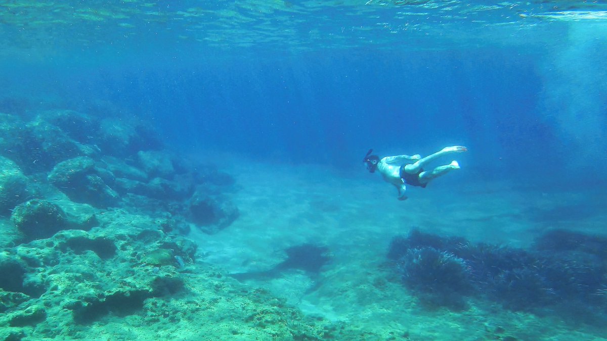 Just had the most incredible experience swimming with turtles! 🌊🐢 Their grace and beauty in the water were simply mesmerizing. 🏊‍♂️✨ #SwimmingWithTurtles #UnderwaterAdventure #NatureExploration #SeaTurtles #MarineLife #OceanWildlife #BucketListAdventure #MemorableEncounters