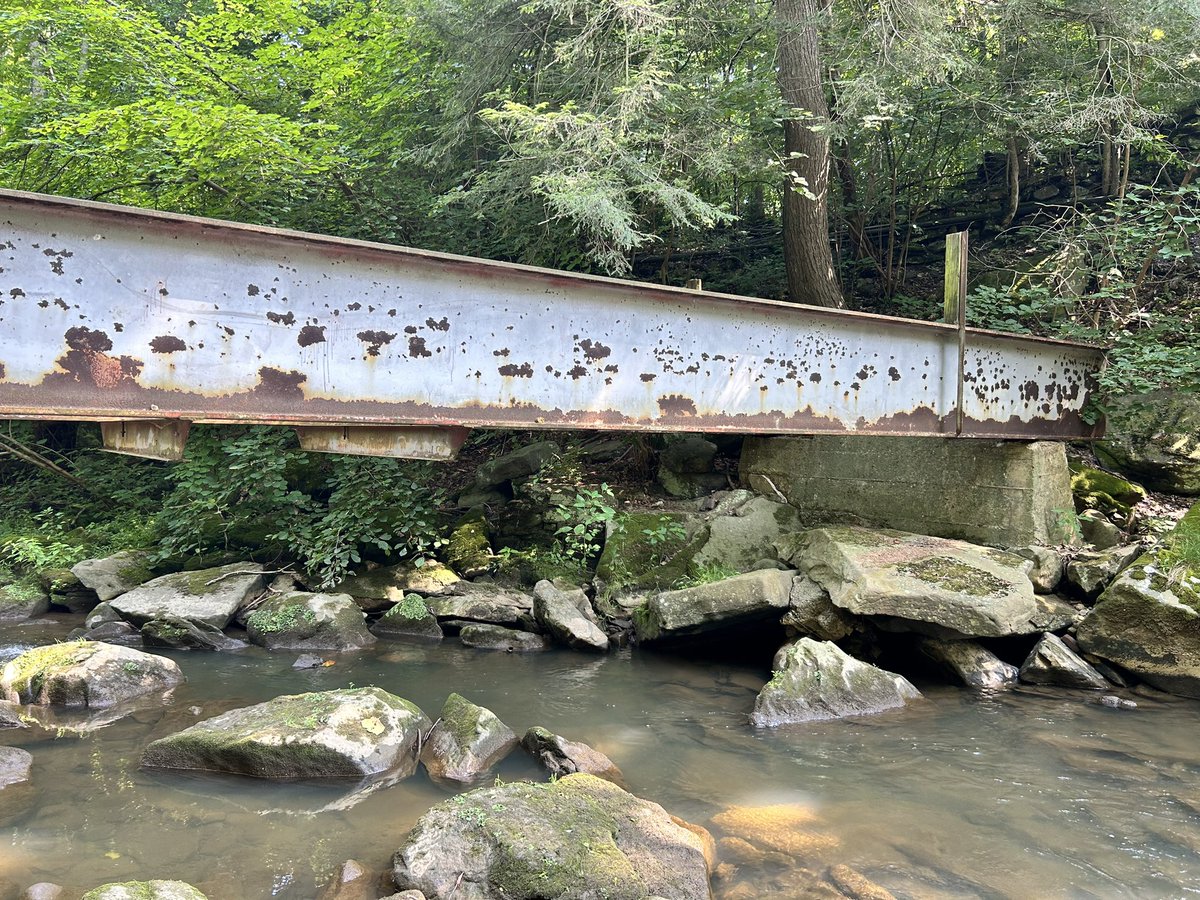 TyMullins's tweet photo. Cascade Park also had an absurd terrain coaster, Comet. There are still remnants, like these concrete foundations and huge steel bridges that spanned the creek. https://t.co/XqXGQDObXt