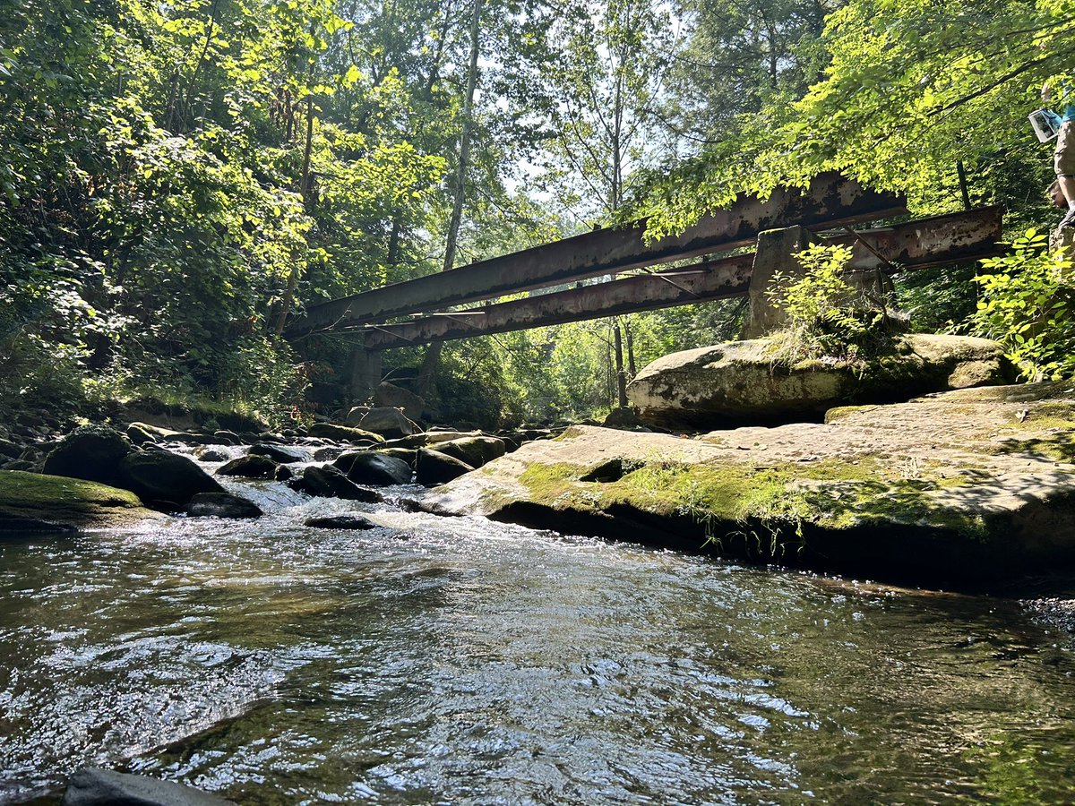 TyMullins's tweet photo. Cascade Park also had an absurd terrain coaster, Comet. There are still remnants, like these concrete foundations and huge steel bridges that spanned the creek. https://t.co/XqXGQDObXt