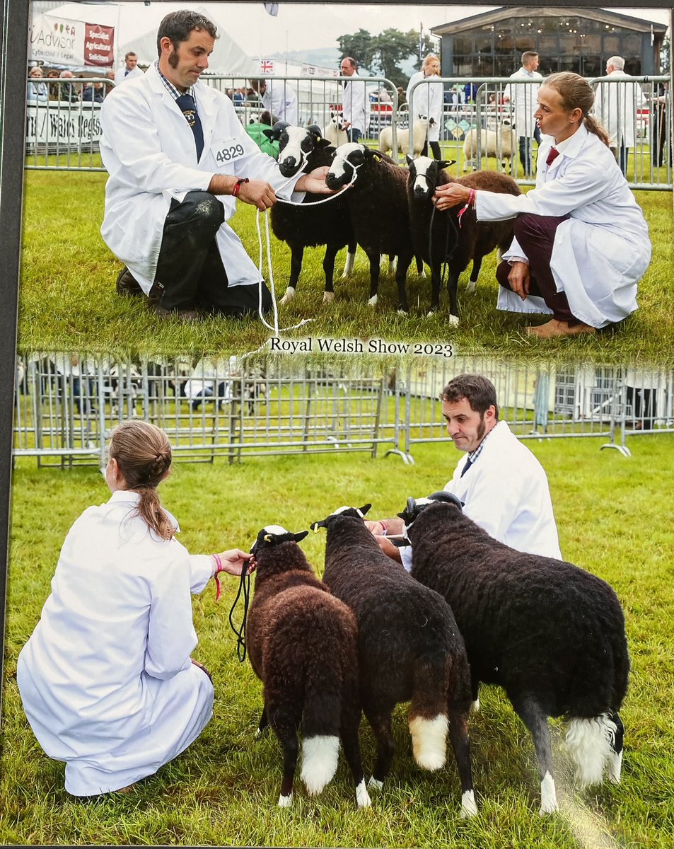 Katie Mander tweet media