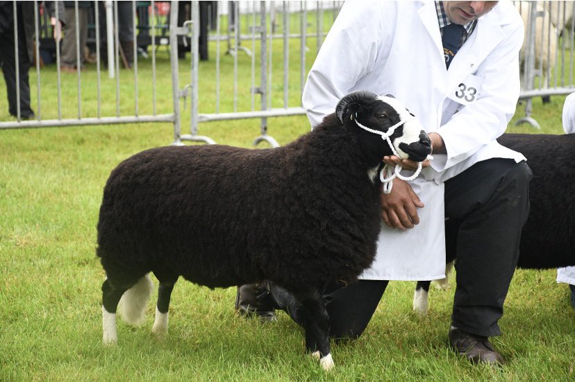 Katie Mander tweet media