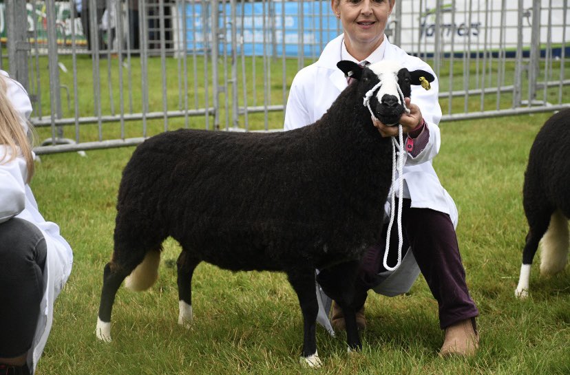 Katie Mander tweet media