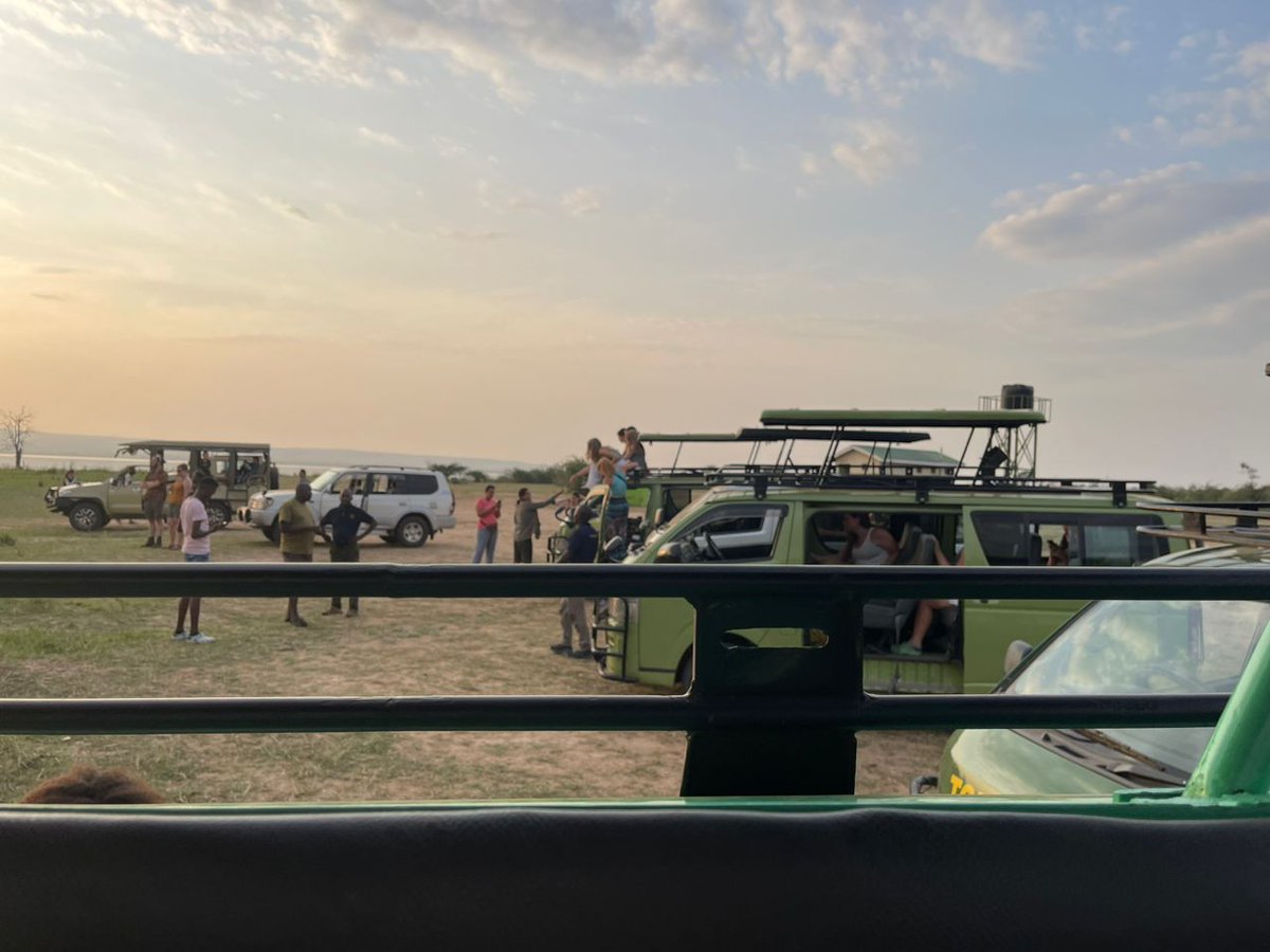 Great adventure!! Five day wildlife safari in Murchison falls national Park in Uganda East Africa. Safari Factor on it, for bookings and enquiries please visit our website or Whatsapp us on+256759207421 #wildlife  #Africa  #safariafrica #safarifactor #Uganda