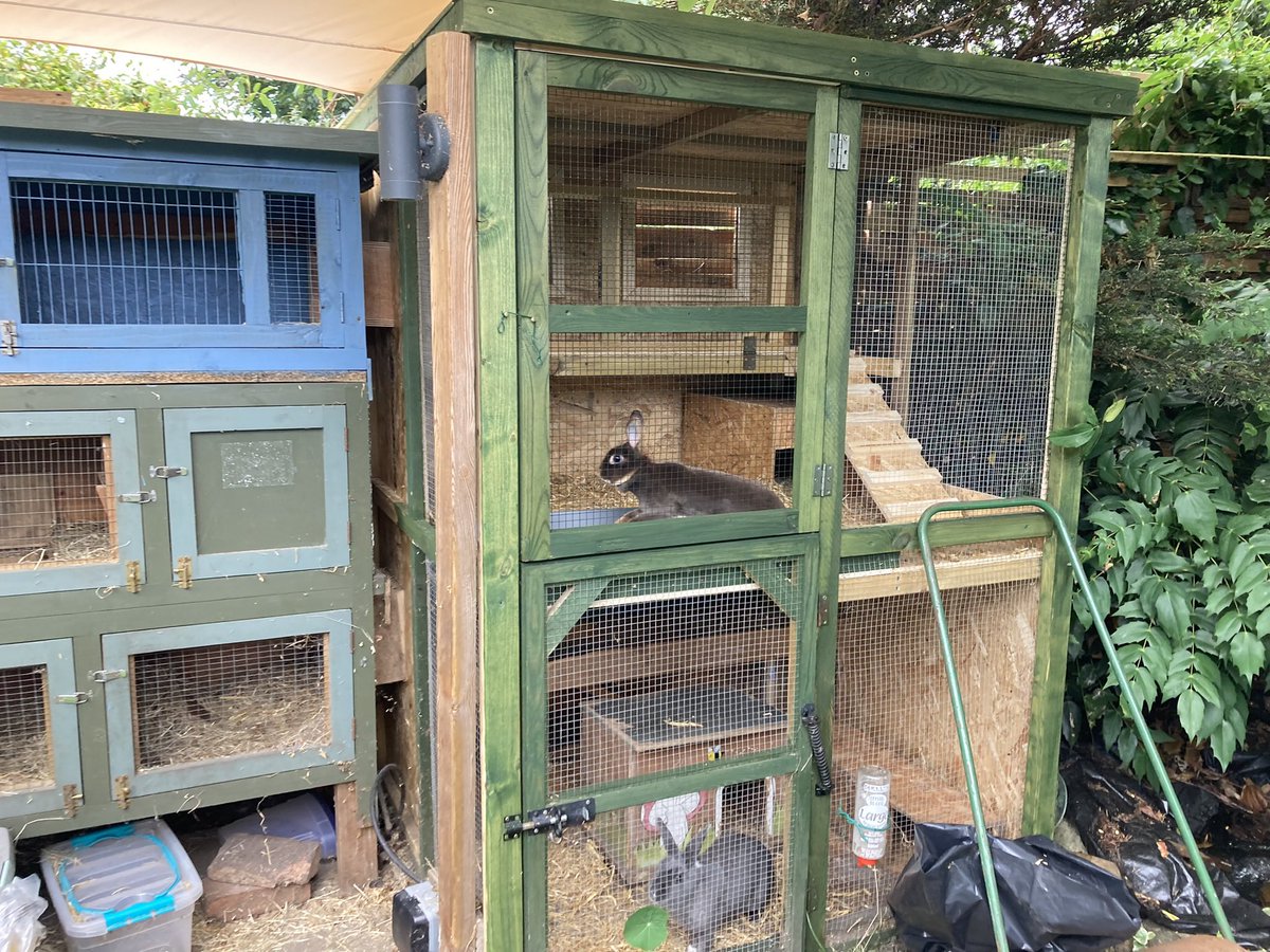 Clive Cooper tweet media