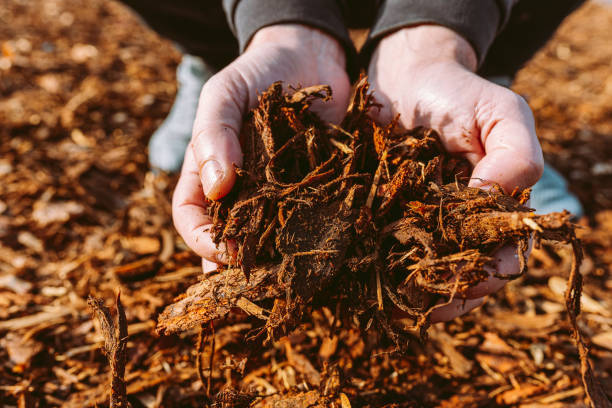 Mulching is an essential part of lawn care, and Parker Lawn Care offers expert mulching services to keep your lawn and landscape healthy. We use high-quality mulch and techniques to promote healthy growth and prevent weeds. Contact us today to schedule your service.