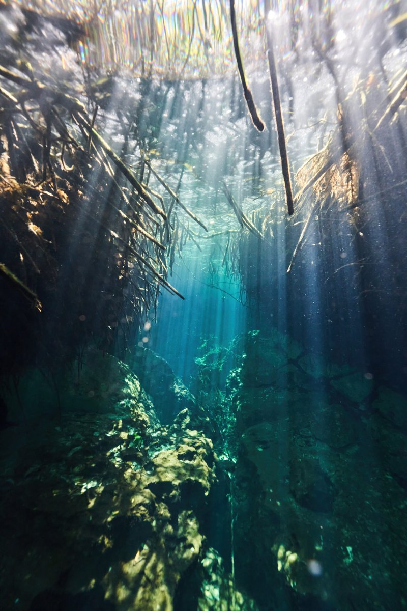 emiliothis_'s tweet photo. under the river water https://t.co/tBG8P662BV