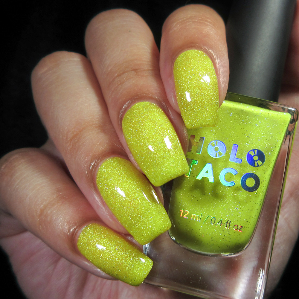 Holo Taco 💿🌮 tweet media
