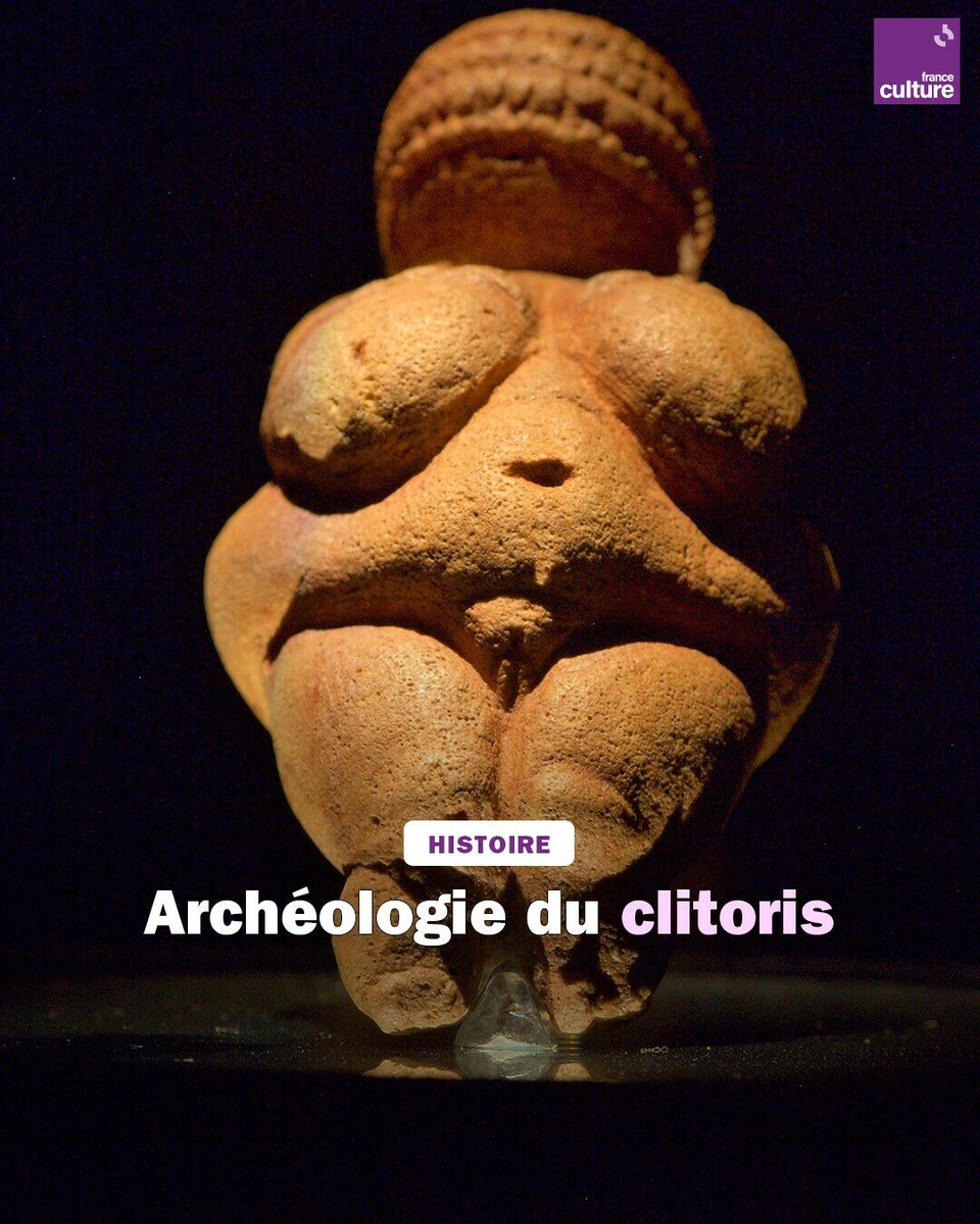 franceculture's tweet photo. Longtemps occulté, voire diabolisé, il faudra attendre 2017 pour qu’un manuel scolaire propose un schéma scientifiquement exact du clitoris.
➡️ https://t.co/UCNo2lBD0C https://t.co/Eeue0cJUkI