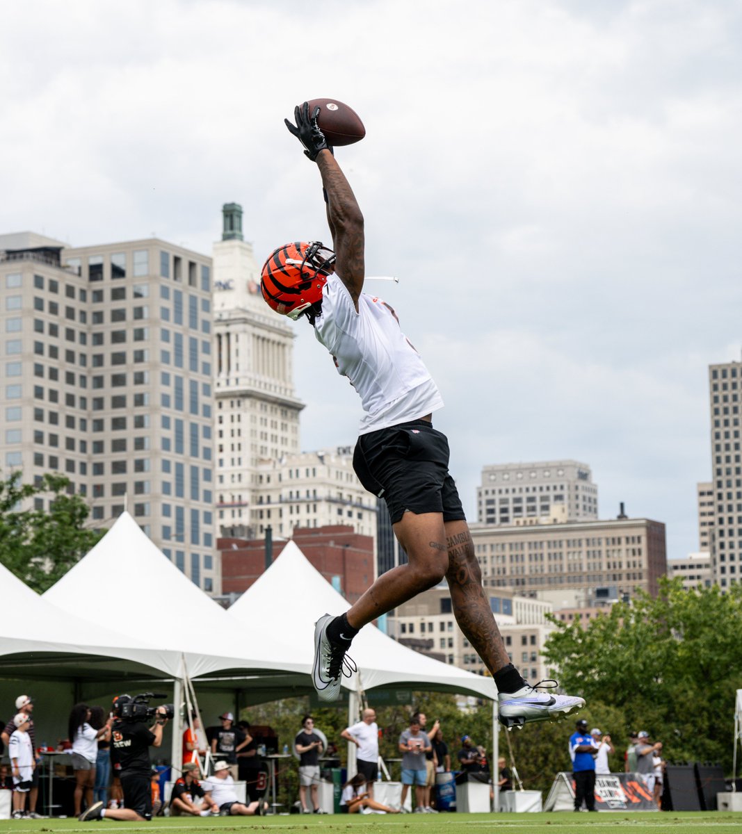 Cincinnati Bengals tweet media