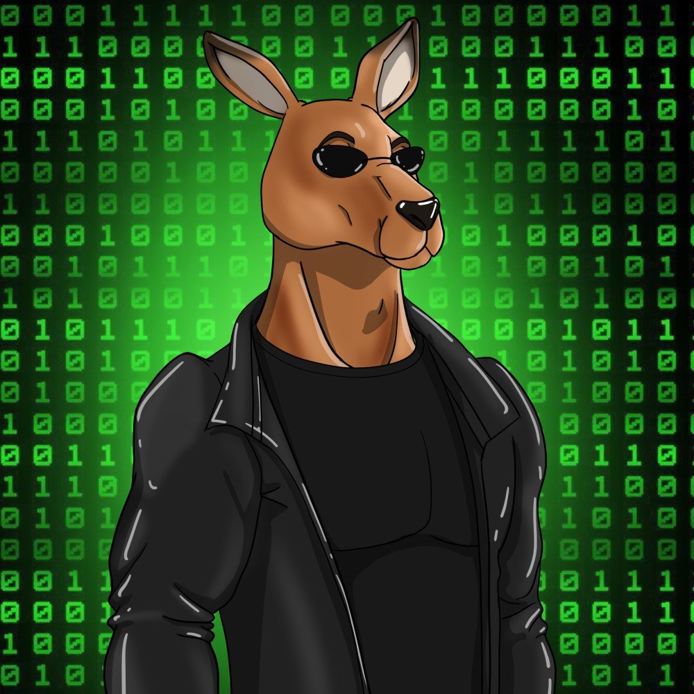 Kangaroo Fight Society tweet media