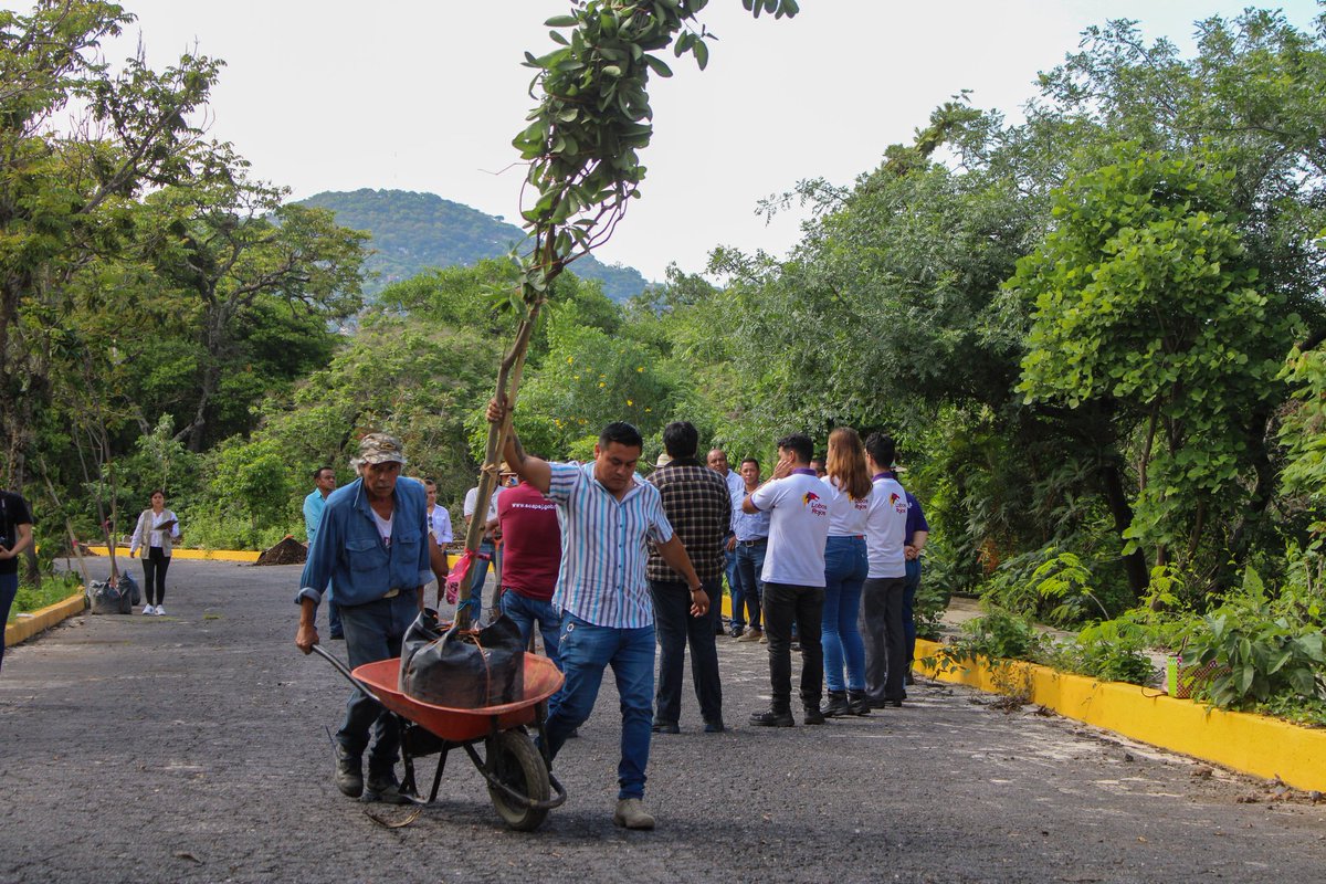 'Siembra un árbol y conserva la vida'. En el Área Natural Protegida (ANP), Parque Estatal El Texcal, llevamos a cabo una jornada de reforestación estratégica en la que plantamos 15 árboles de especies como Amate negro, Tepehuaje, Amate amarillo, Parota, Amate blanco...