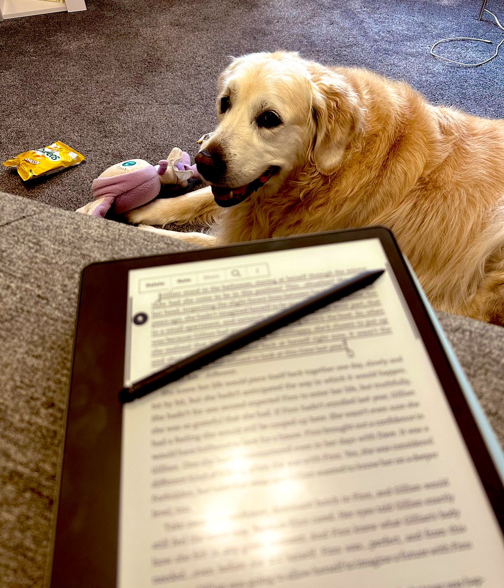 MelissaTereze's tweet photo. Just some late evening proofing. Me, the boss, and her emotional support bag of Quavers! 

#amreading #amproofing #erotica #lesfic #sapphic #lesbianromance #wlw https://t.co/eWuDMd1pWG