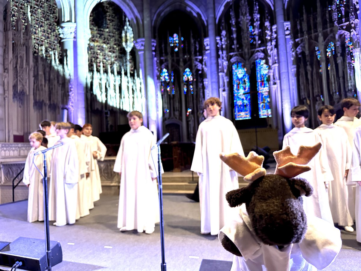 Libera Moose tweet media