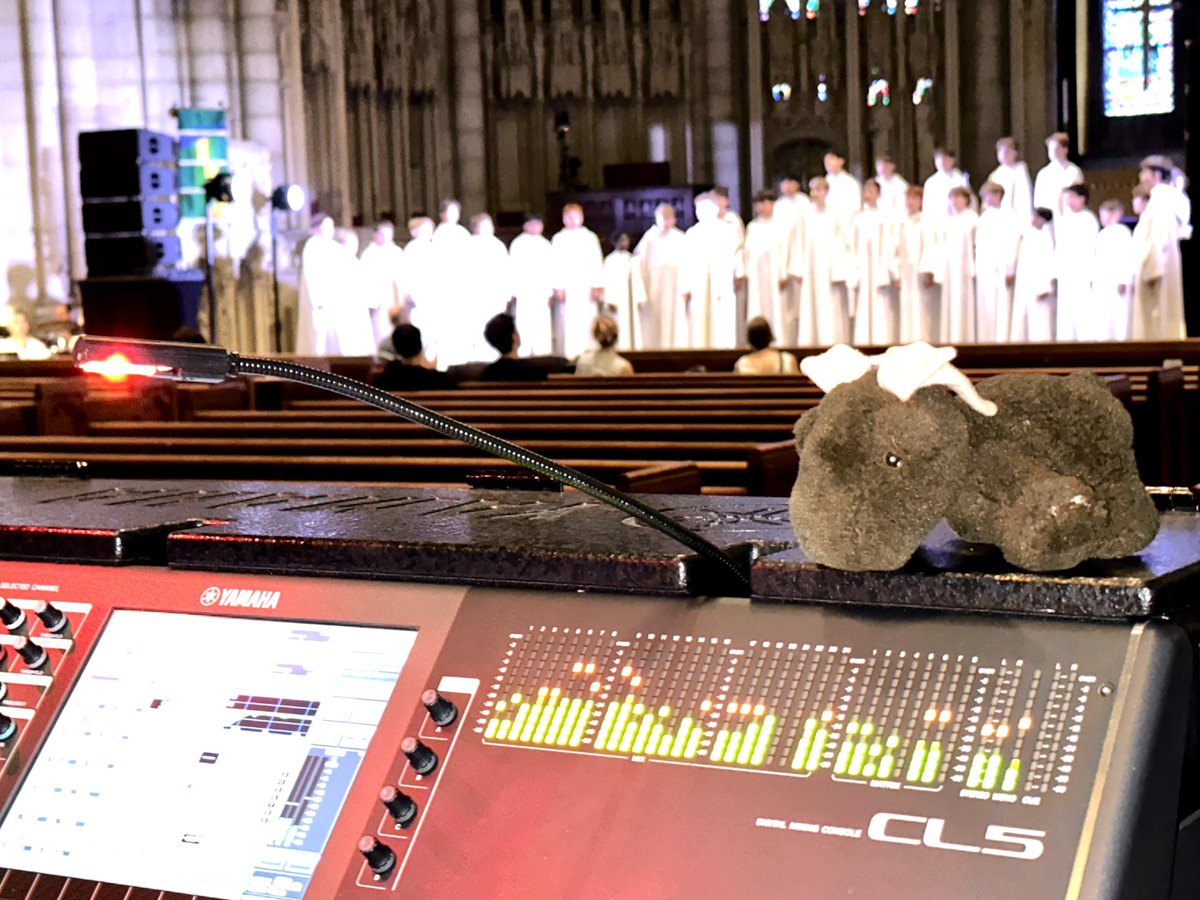 Libera Moose tweet media