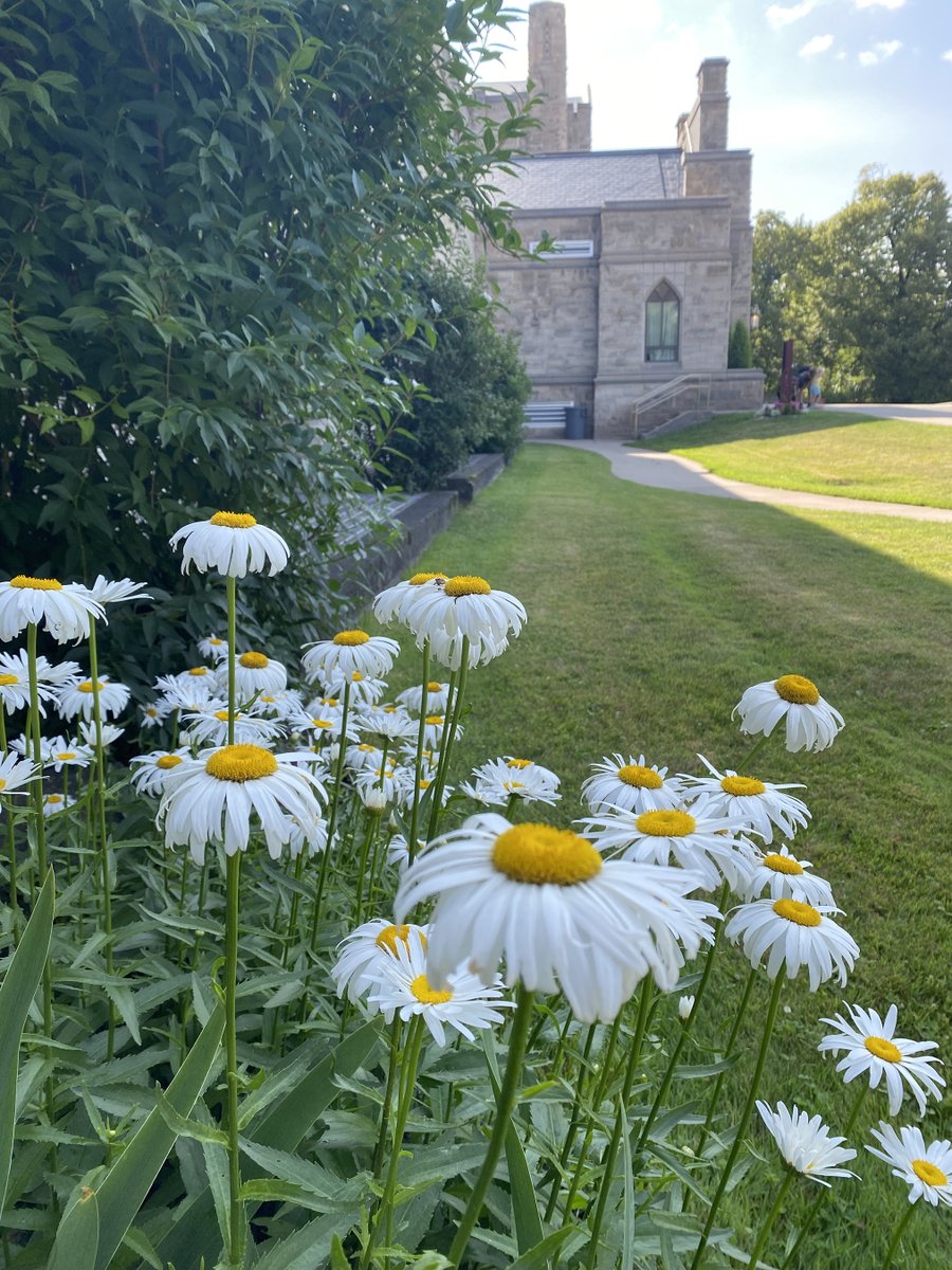 AsburyFirst's tweet photo. Feature Friday: Enjoying your summer? The lovely grounds and flower beds are only so gorgeous because of the stellar work of our Gardening Team, and they need your help! Sign up at https://t.co/9kwtc5PRBt to help tend the flower beds. #gorgeousgrounds #nofilter #asburyfirstumc https://t.co/hmJGz8NSxG