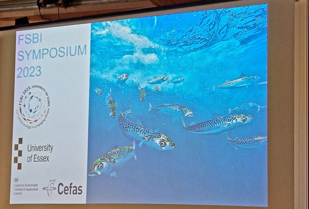 nablue95's tweet photo. I was lucky enough to go back to the @Uni_of_Essex to attend the #FSBI2023 conference this week, learning from a fantastic array of talks, and having many discussions about fisheries management 🎣 https://t.co/rtiEUIhuiB
