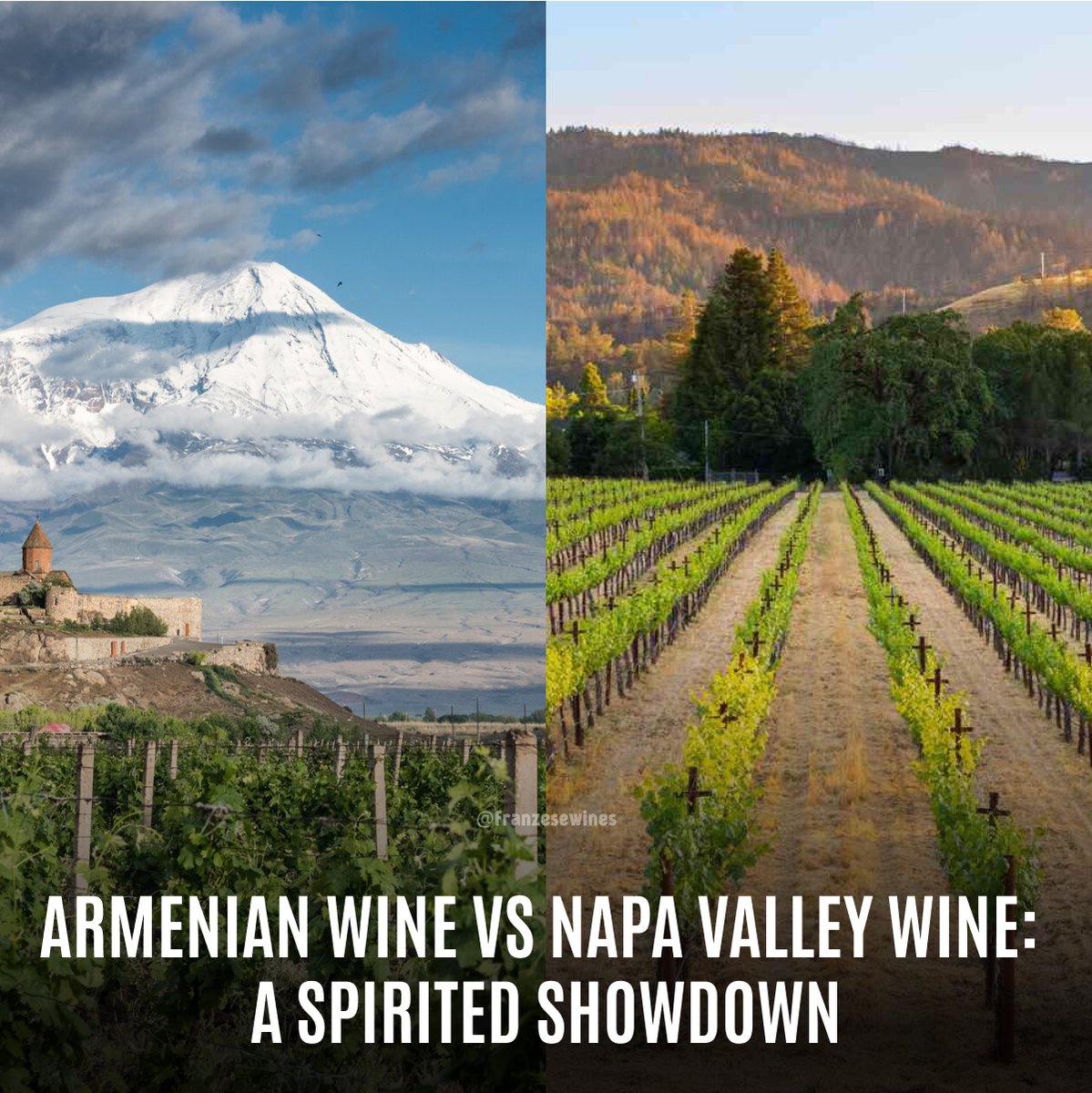 Both Armenian and Napa Valley wines offer a unique experience in every glass. Whether you're a lover of history or innovation or prefer indigenous or popular varietals, there's a perfect bottle waiting for you. Which will you choose?🍷🌍