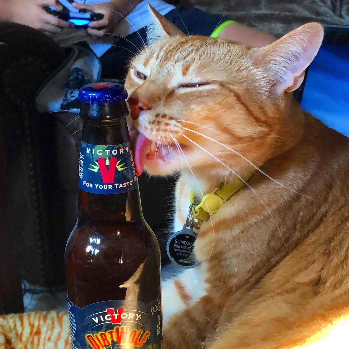 Jimm Retling tweet media