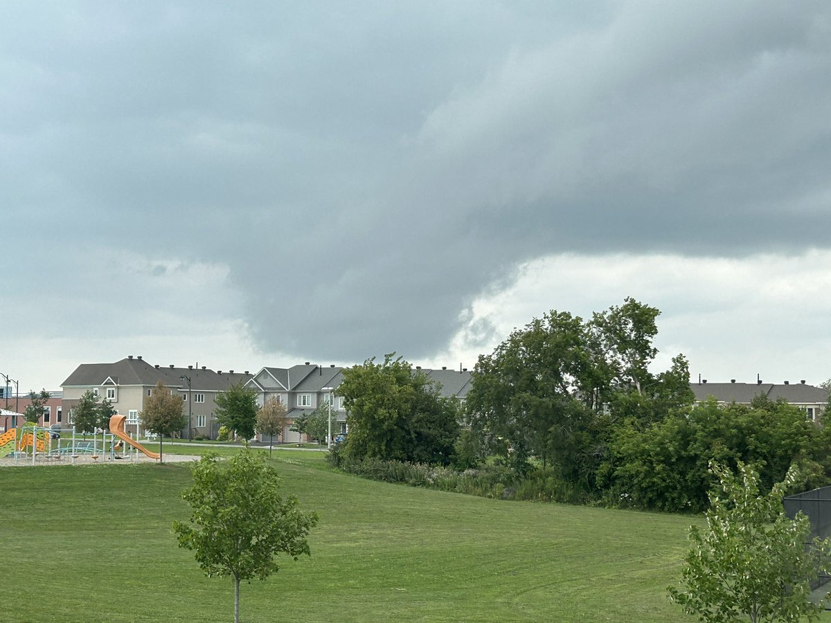 Natasha L tweet media