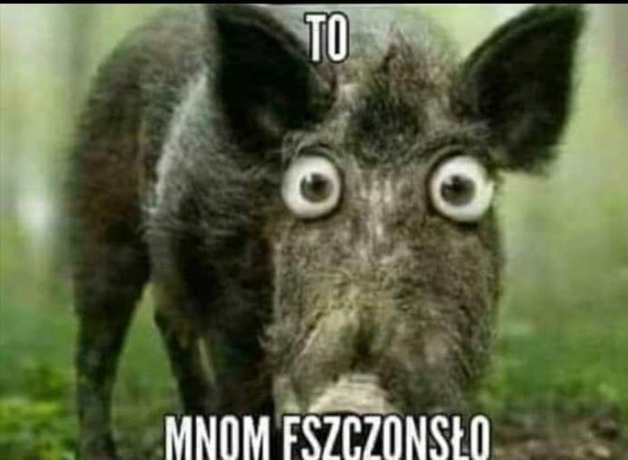 maciek4w1's tweet photo. @Piechocinski Niemozliwe…. 😂😂😂😂 https://t.co/C06K283G2F