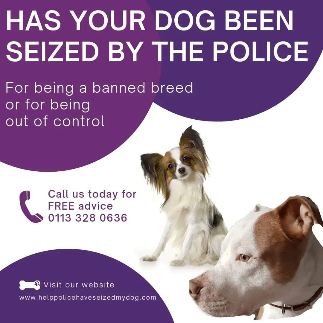 rockysarmyvbsl's tweet photo. So close to 9 and a half thousand signatures 🙏🙏 keep sharing and asking everyone you know to sign. 
Remember each email address can be used twice and you must click the verify in the email you receive or it won't count.

Dogs have died unnecessarily in police approved kennels. Some never even reached that far.

Why in this day and age is animal welfare ignored by those in authority. 

THESE ARE JUST SOME of the 💔 stories and there is only one to change this law. Sign the petition at the bottom. 

In 2014. Twenty-two banned-breed dogs were seized on March 27th and put down within a matter of hours. In 2015 District Judge Andrew Shaw said: the dogs were UNLAWFULLY DESTROYED and the police had NO authority to kill them without the backing of a court order.

In 2017. Tyson a 10 month old pitbull was set on fire by police whilst being seized. Because officers used equipment they had not been fully trained in the use of. He was later put down. 

In 2018. An abandoned Caucasian Shepherd dog, dubbed ‘Angel’, was shot dead when she was left tethered to a pole, prompting national outrage.

In 2021. Nia and Thor two suspected pitbulls were destroyed after a relative wrongly signed paperwork to surrender ownership. They were only 2 years old.

In 2021. Desel the 3 year old Akita was rushed from police approved kennels to a vet and euthanised as nothing could be done to save him. It took the police 6 days to inform his family 

In 2022. Lucy the 5 year old Great Dane was found dead in police approved kennels. Her family were not even told until almost 4 weeks later and have never had an explanation of why it happened. 

In 2023. Esco a 3 year old XL Bully was retaken from his police approved kennels to a vet for the 2nd time and euthanised because he was in so much pain. It took the police 7 days to tell his family. 

In 2023. Marshall and Millions were shot dead. Again prompting national outrage. 

In 2023. Reefaa n 11 year old and poorly dog in need of an emergency operation and on insulin was still seized and held in kennels. Over a couple of days she started to decline and was rushed to an emergency vets who said no more could be done to save her. She was put to sleep without her family being notified until later that day. 

These are just a few of the horror stories of dogs needlessly dying because the dangerous dogs act is so badly written with very little guidance on instruction for the police or because of poor police training in equipment they are issued. 

TIME FOR CHANGE 
TIME TO BE THEIR VOICE
TIME FOR THEIR JUSTICE

#rockysarmy #EndBSL #dangerousdogsact 

Remember each email address can be used twice and you must click the verify in the email you receive or it won't count 

SIGN THE PETITION TO CREATE NEW REQUIREMENTS for dogs held under the Dangerous Dogs Act.

https://t.co/M8BCirUn0x