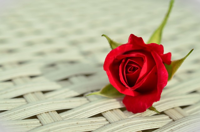 aimfiremktg's tweet photo. Marketing Tips from The Bachelorette: How to Woo your Prospects into Customers: https://t.co/uKleVYfIzk https://t.co/IlSesAUkZq