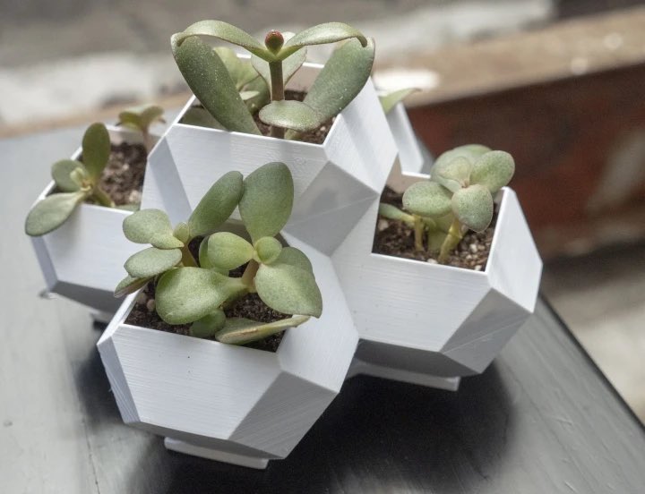 cfdezmunin's tweet image. 🌧️Un finde nublado y lluvioso?
🌿Dale al #projectplant de @tinkercad #tinkercadprojects 
➡️tinkercad.com/blog/weekend-p… 
Y lo bien que crecen las cactaceas!