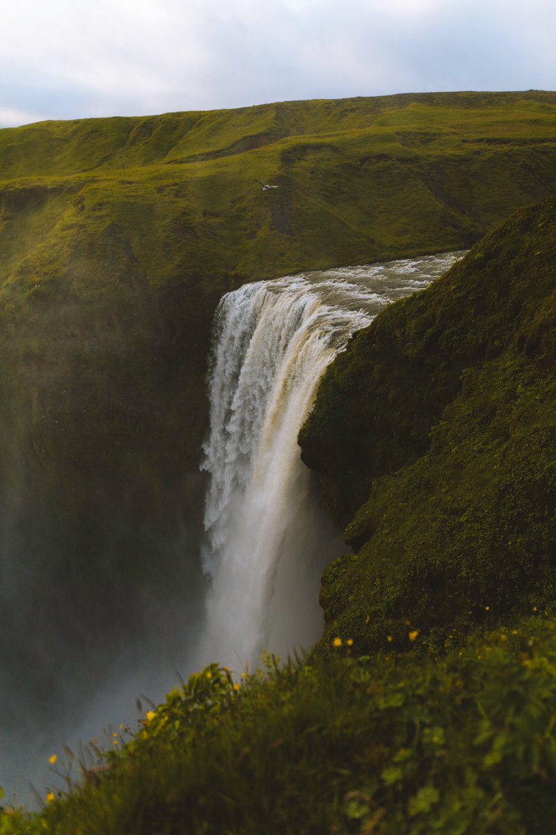 johncwingfield's tweet photo. Summer days in Iceland https://t.co/rjNVfNeEec