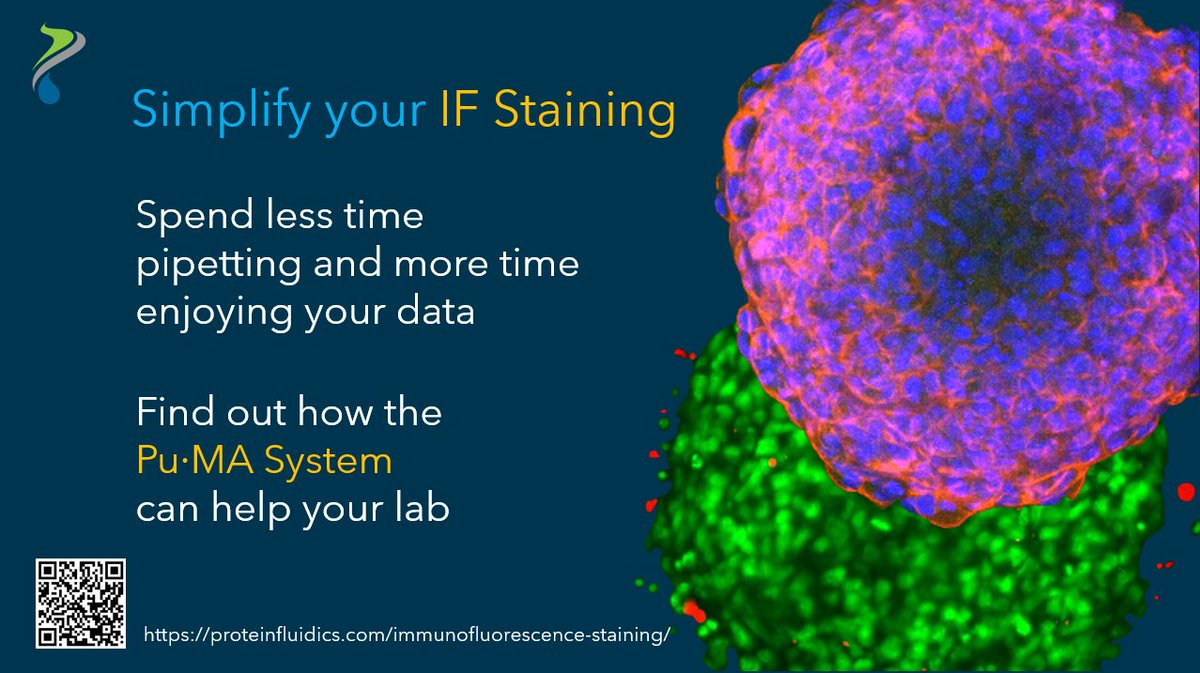 Don't take our word for it!  #pumasystem user Dr. Cruz said 'I was really appreciative of not having to do all the pipetting for staining and washing and everything else, and it also felt like what I was getting was very reproducible.' So simplify your #IFstaining #3Dcellculture