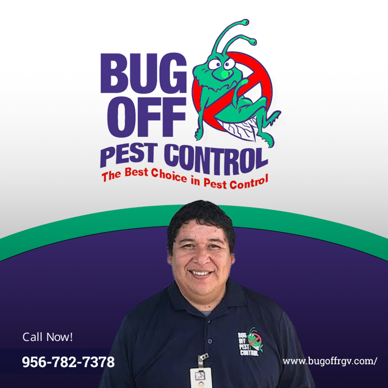 BugOffRGV's tweet image. From rodents to termites, our comprehensive pest control service handles it all. Count on our expertise to ensure effective pest management. Reach out to us at 956-782-7378 for all your pest control needs.