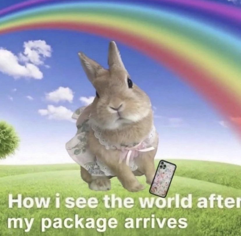 ✧ (@northstardoll) on Twitter photo 