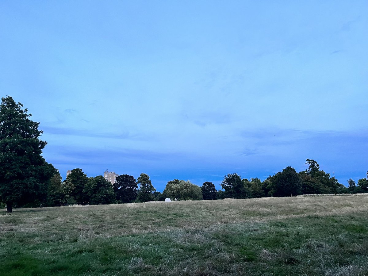 Evening trip to #BrockwellPark #HerneHill with the little people