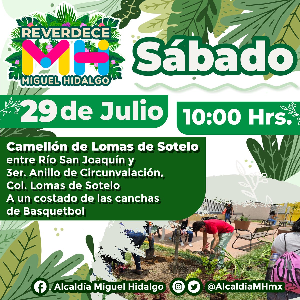 Alcaldía Miguel Hidalgo tweet media