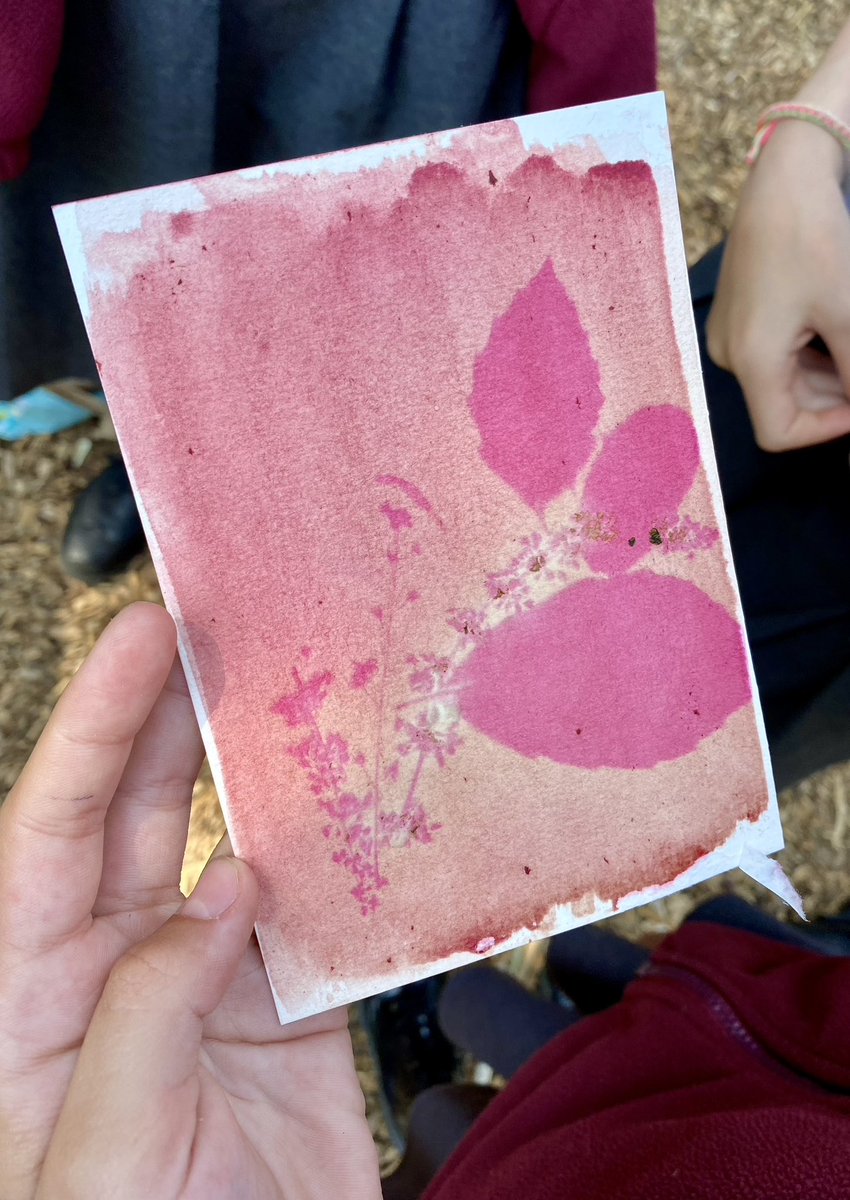 Lindseyeleven2's tweet image. On Wednesday 9 August I’ll be running drop-in workshops @HighdownGardens as part of their #DiscoveryDay programme.
Price: £5
Pre-booking necessary
highdowngardens.co.uk/sunprint-works…
#anthotypes #sunprints #photographyworkshop #dropinactivities #outdoorart #familyartactivities