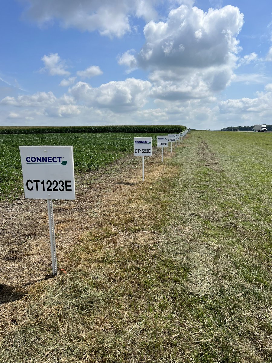 BigBenFast's tweet image. Got the @ChannelSeed plot signs up on the coolest day of the week. It was only 87 degrees. The new @ChannelMinn signs look great and the hybrids look even better!!