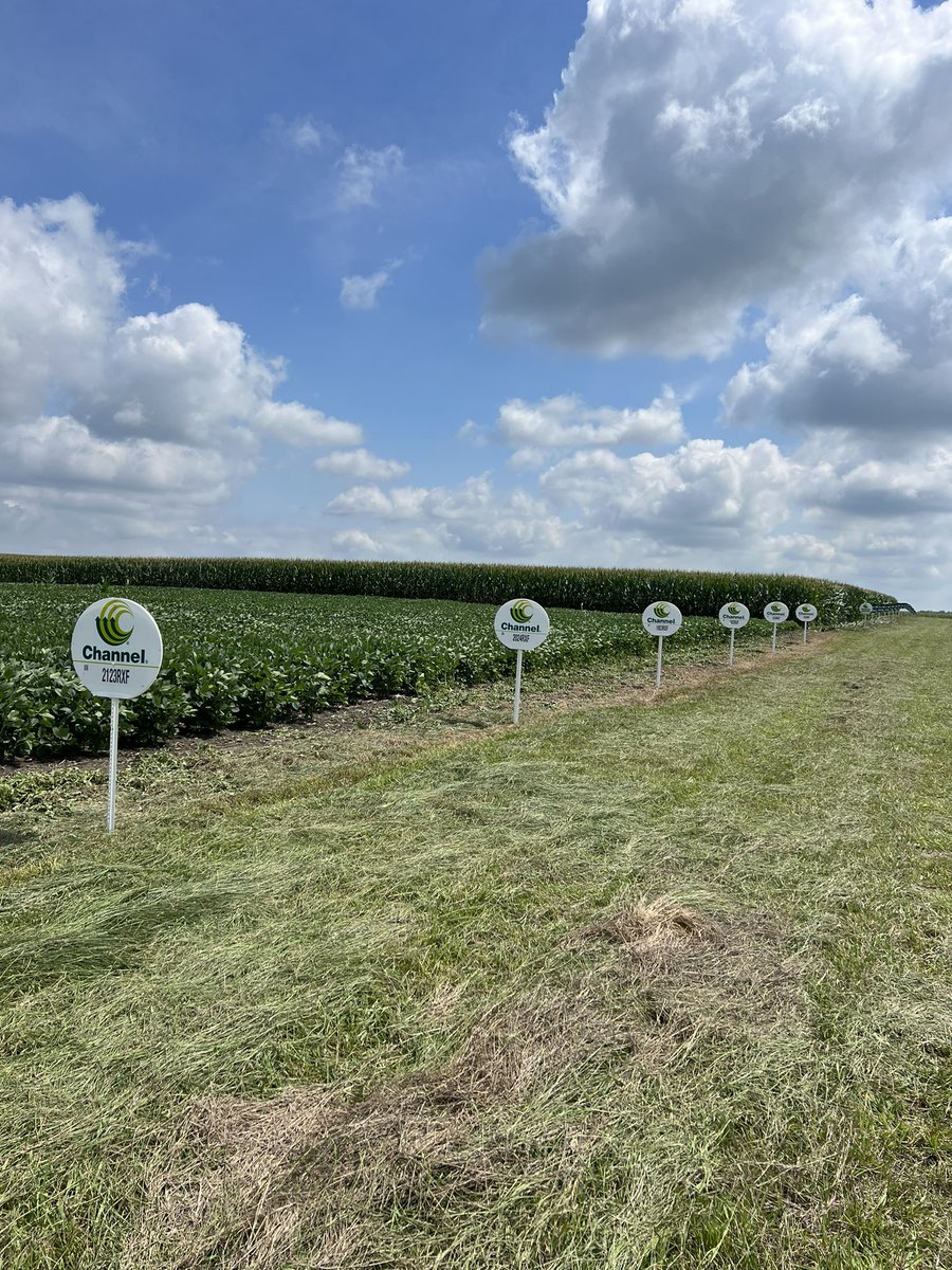 BigBenFast's tweet image. Got the @ChannelSeed plot signs up on the coolest day of the week. It was only 87 degrees. The new @ChannelMinn signs look great and the hybrids look even better!!