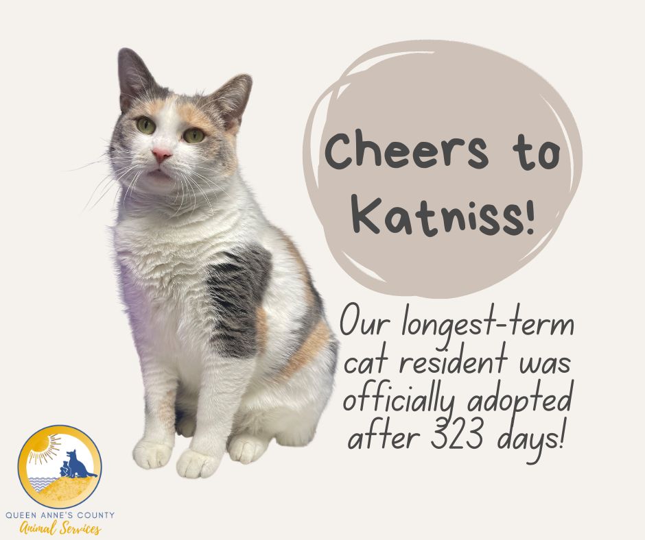 QACAnimals's tweet photo. Congrats to Katniss &amp; her new owner! After 323 days as a QACAS resident, Katniss finally met her person &amp; headed home. 
To view more adoptable animals, check out our website: https://t.co/VAvS0xW1WX https://t.co/ekuECzHblv