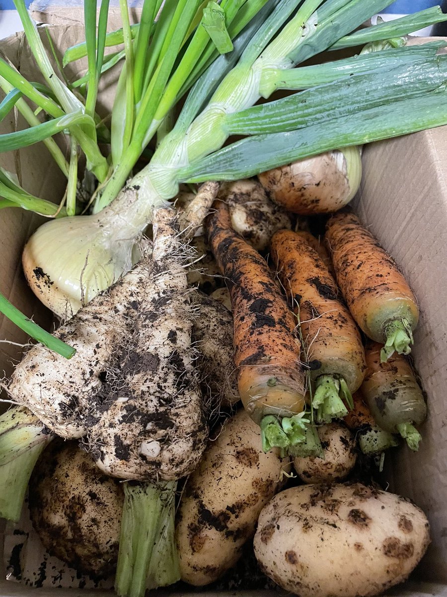 There’s nothing like Good Country Neighbours 
A big thanks to Kevin O’Sullivan who just arrived with a beautiful box of fresh vegetables and Spuds 🥔 straight from his Garden 🪴 #CountryNeighbours #Freshvegetables #garden