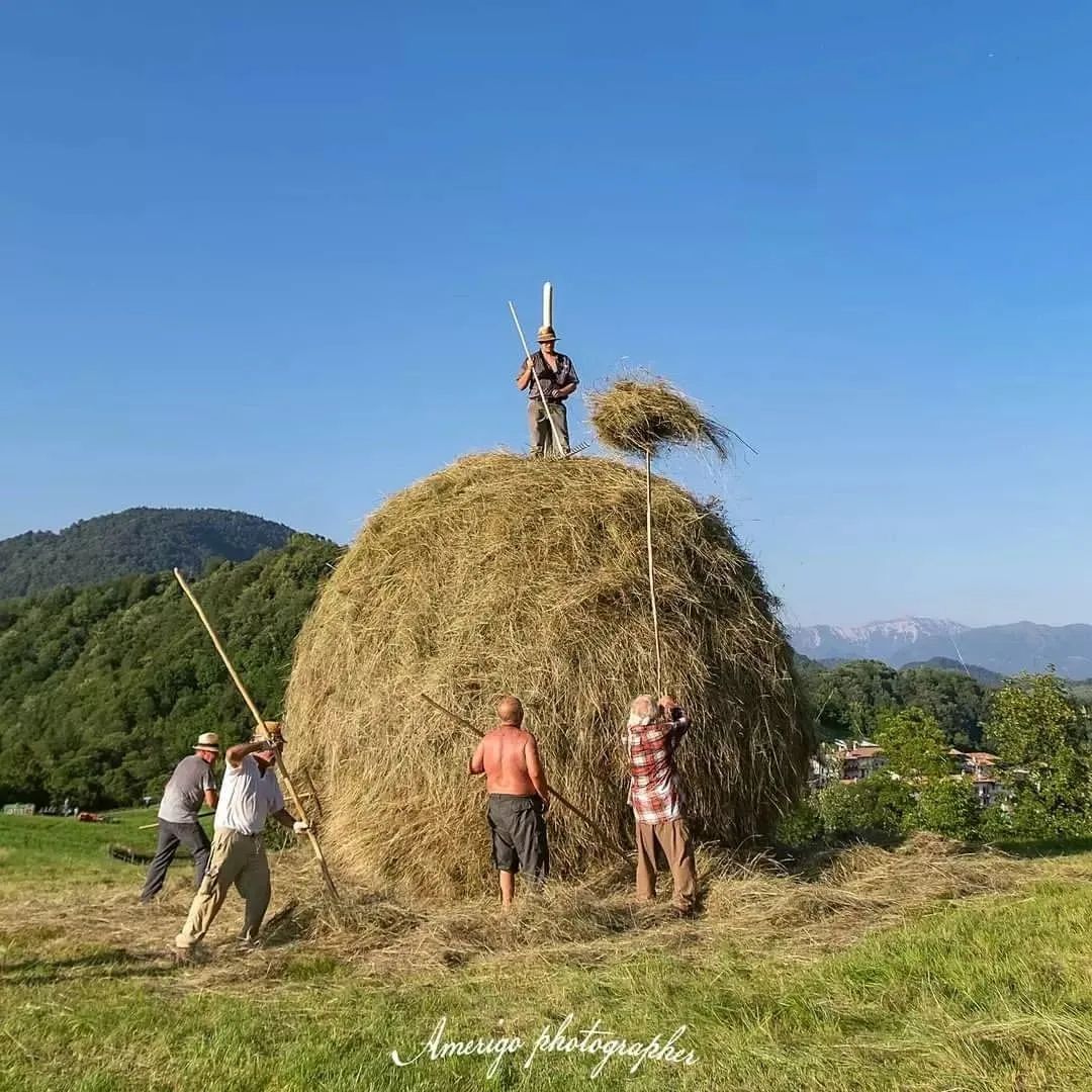VisitFVG's tweet photo. Momenti che rievocano il passato 😍
La festa dei Falciatori a Stregna nelle Valli del Natisone 🌾 

Photo IG by amerigo.photographer 

#fvglive #fvg #iosonofriuliveneziagiulia #stregna #vallidelnatisone #beautifuldestination #travel #italy #traditions #friuliveneziagiulia https://t.co/LF4Buj2Lno