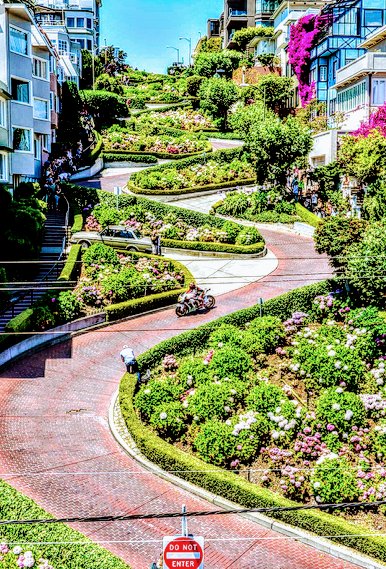 Happy Friday from #SanFrancisco!

#IFB •
#MGWV •
#TeamSil •
#1DDrive •
#TEAMSTALLION •